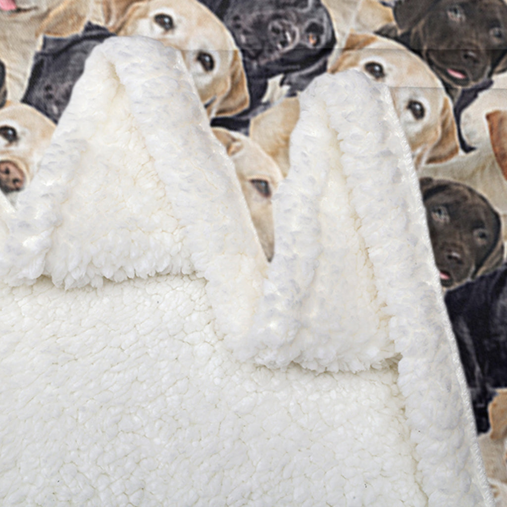 Labrador Retriever Blanket Fleece