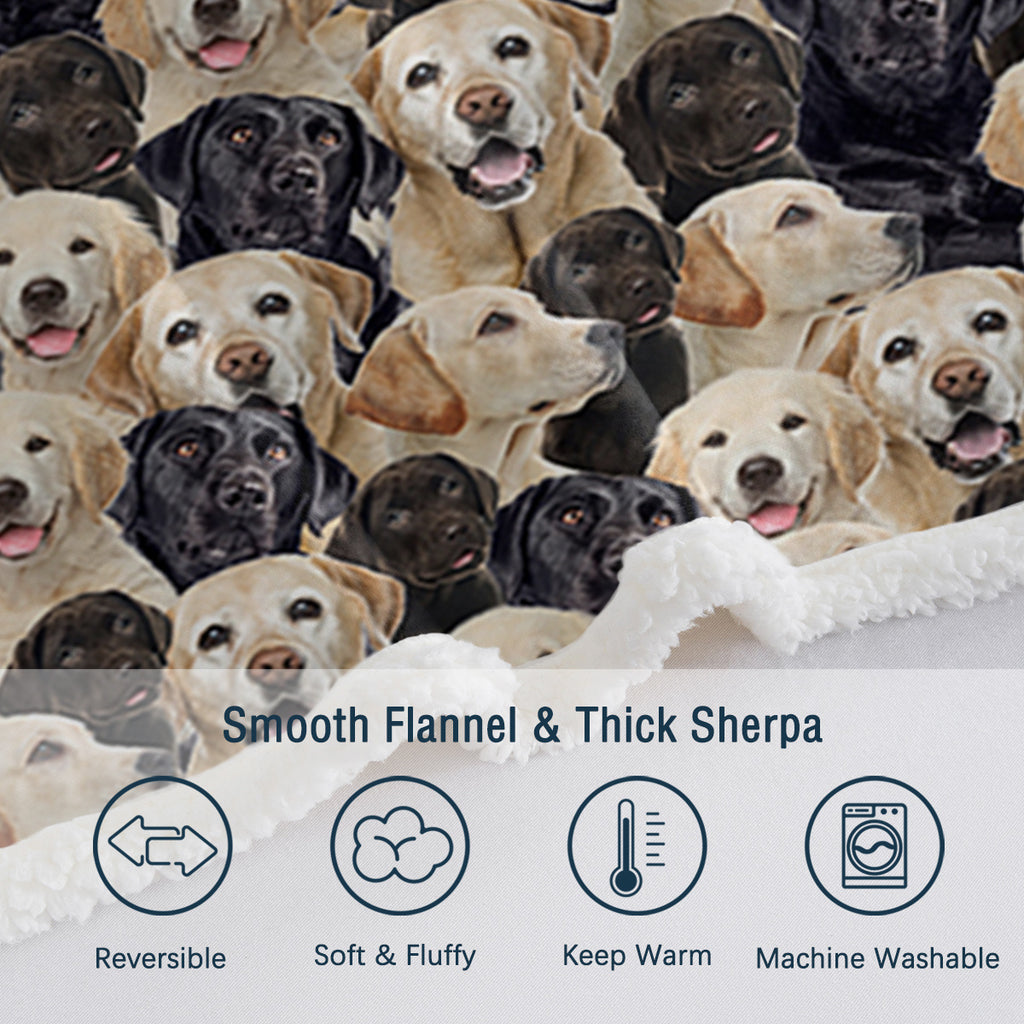 Labrador Retriever Blanket Fleece